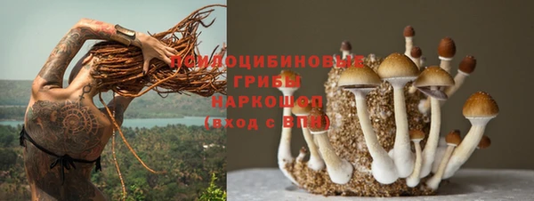 МДПВ Арсеньев