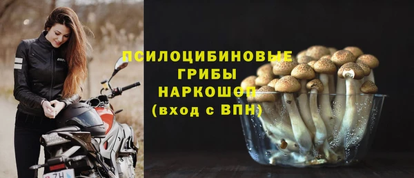 таблы Аркадак