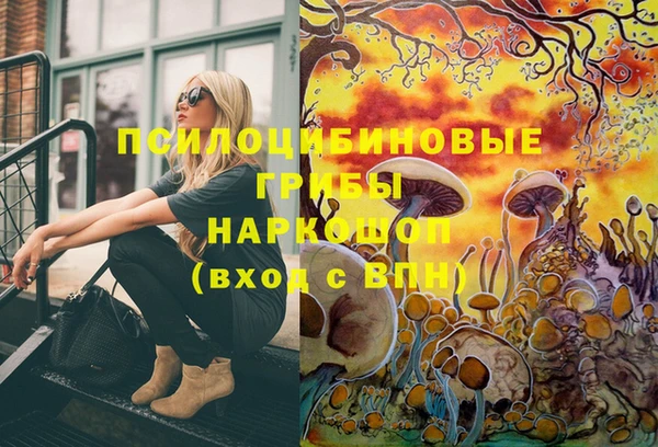 таблы Армянск