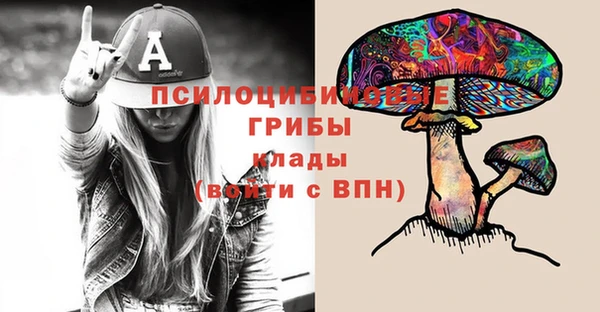 МДПВ Арсеньев